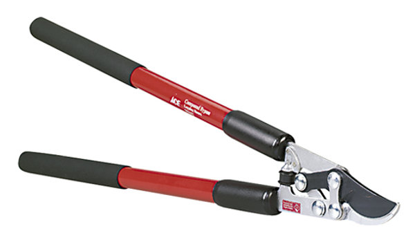 Image of Herrick Item # 7094402